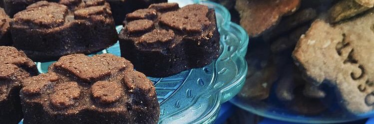 Oscarbites's profile banner image