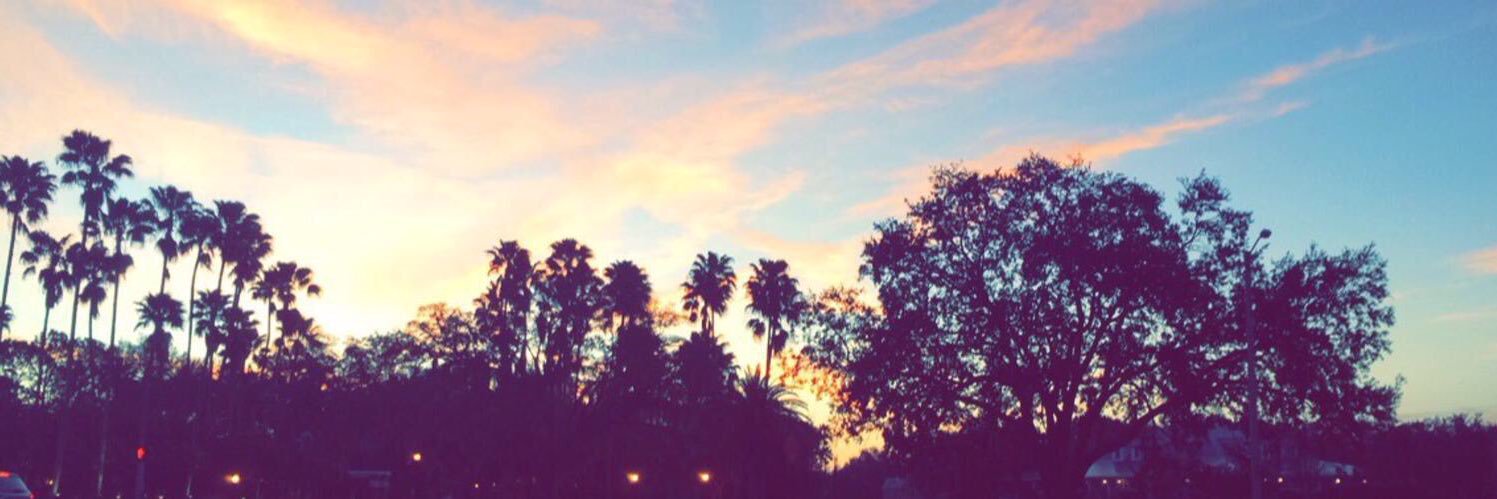 ally_wertheim's profile banner image