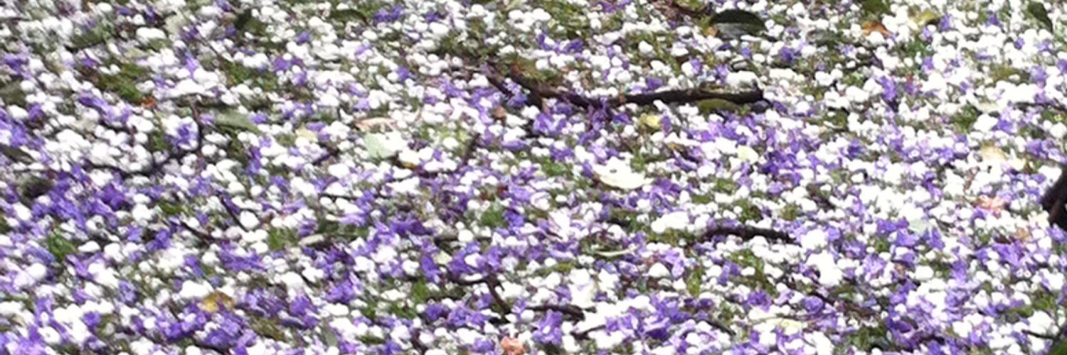 vitru55's profile banner image