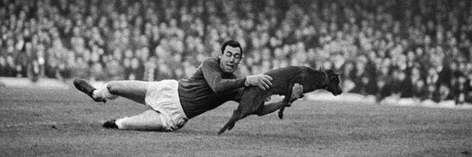 GNeysmith's profile banner image