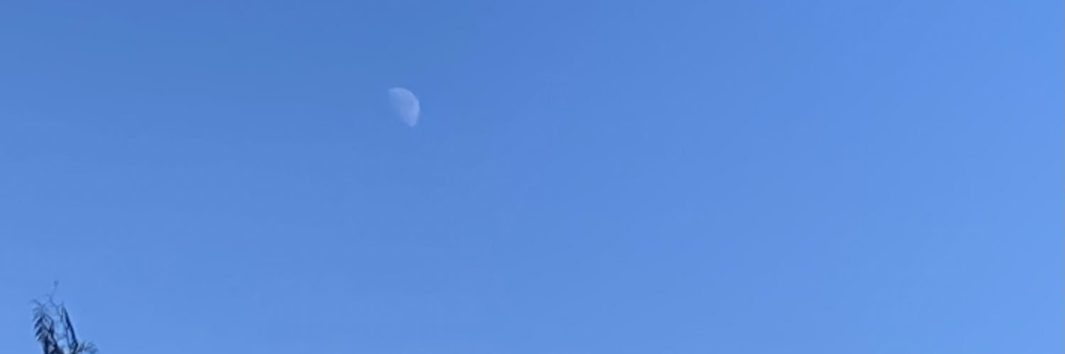 margaar10's profile banner image