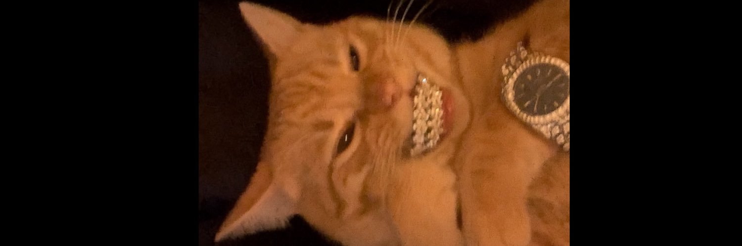 bRisCo_'s profile banner image
