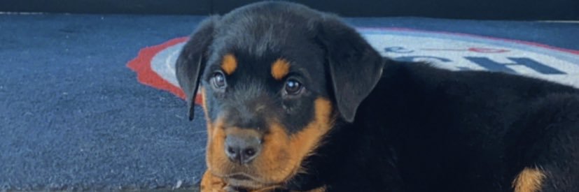 nstampley's profile banner image