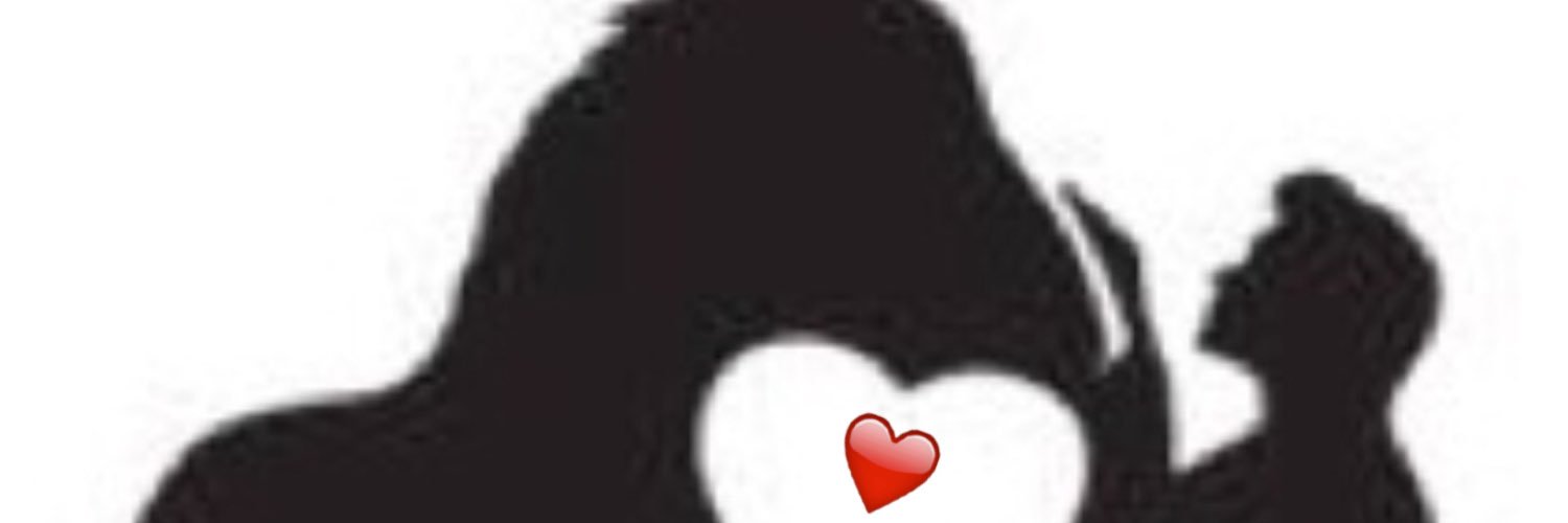 shoshoaa1's profile banner image