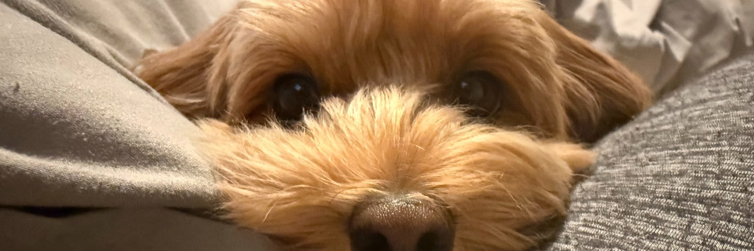 alanb's profile banner image