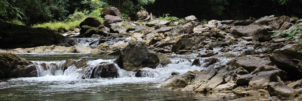 Nature Seekers banner