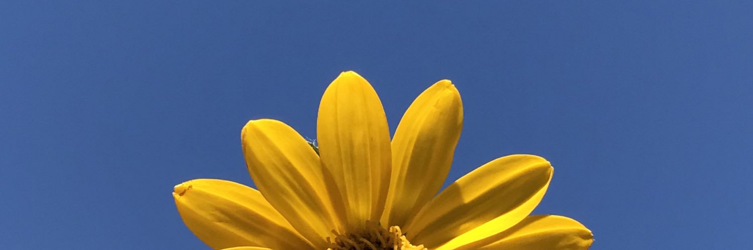 ffiorefflo's profile banner image