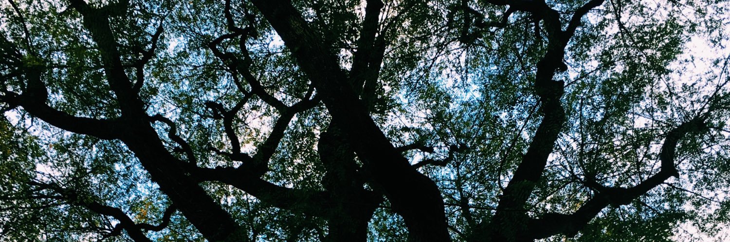 maitehru's profile banner image