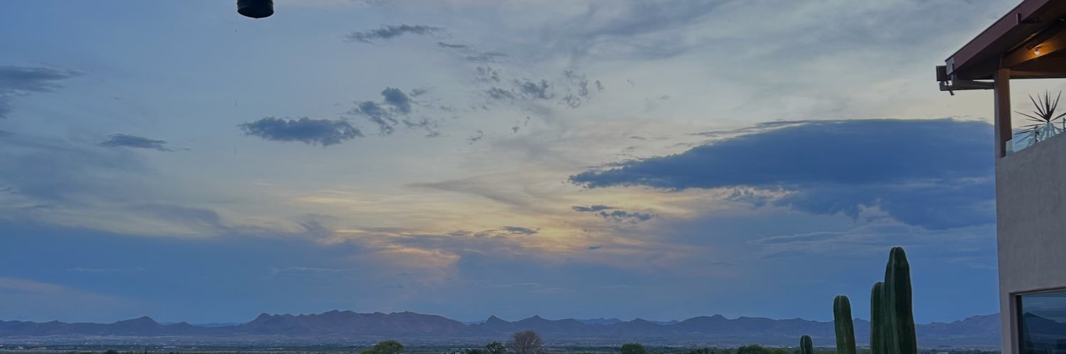 feraydeevi's profile banner image