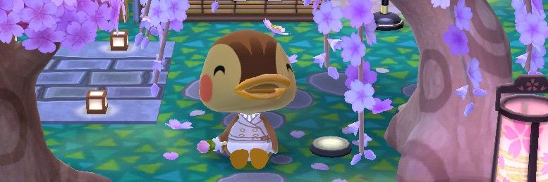 Patito_OR's profile banner image