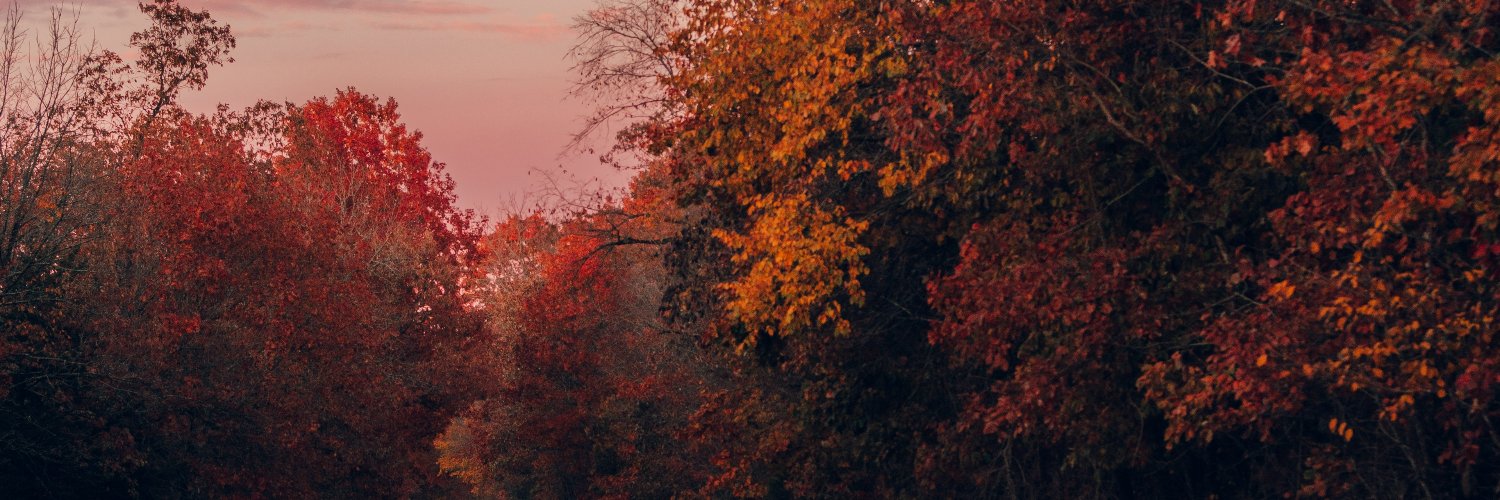 Zprit3's profile banner image