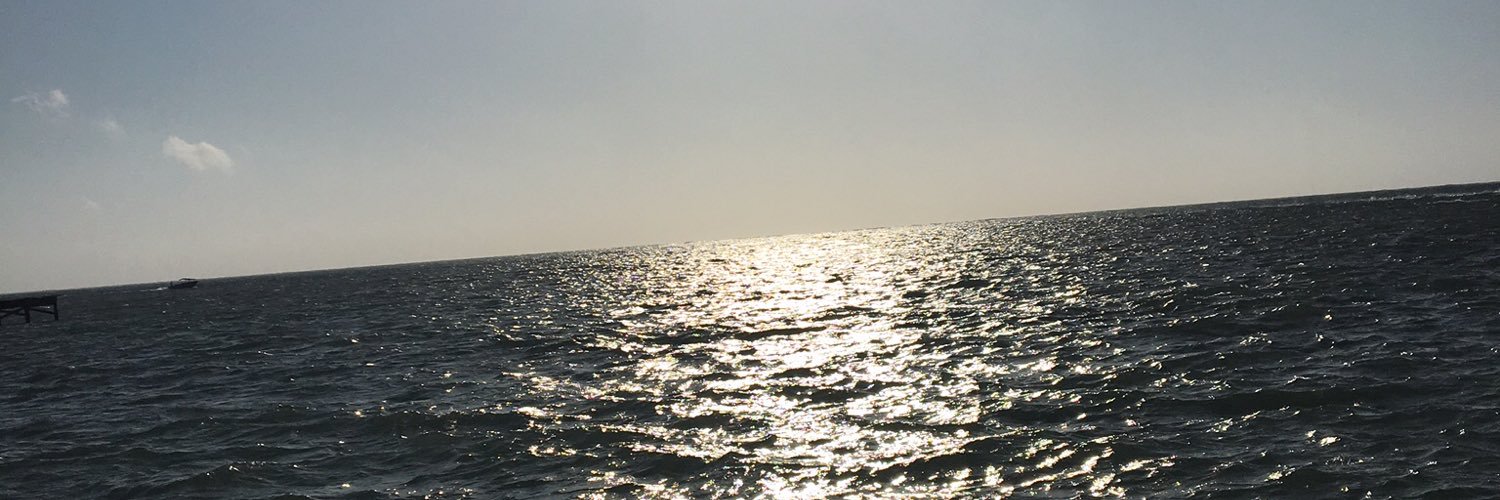 emilyk007's profile banner image