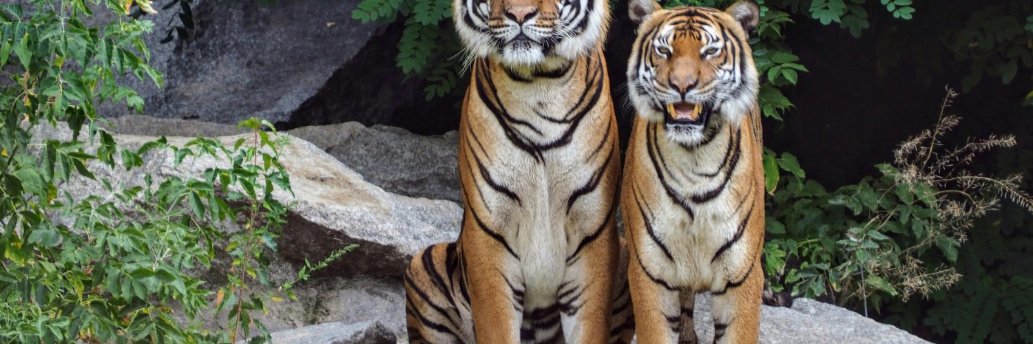 arant44's profile banner image