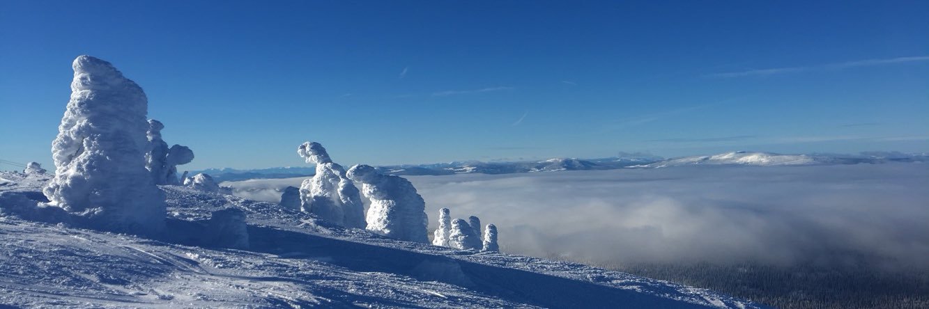 courrtneym's profile banner image