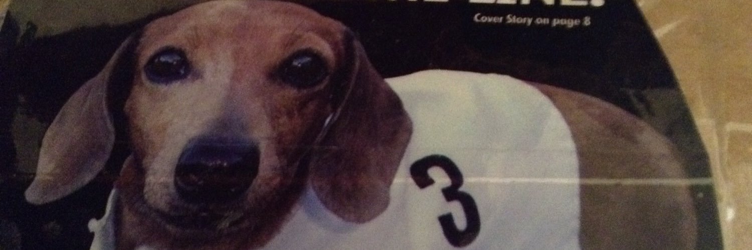 Sodplug's profile banner image
