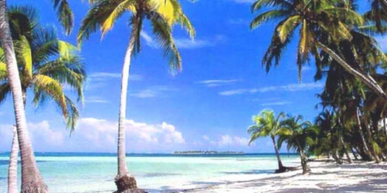 albita911's profile banner image