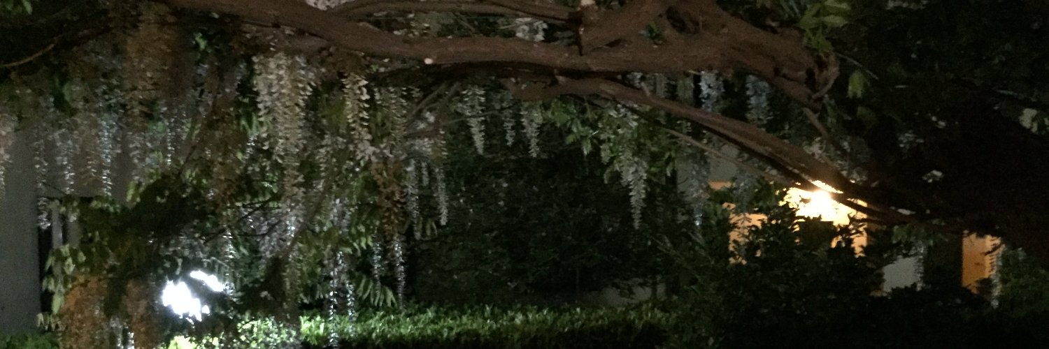 patbianco56's profile banner image