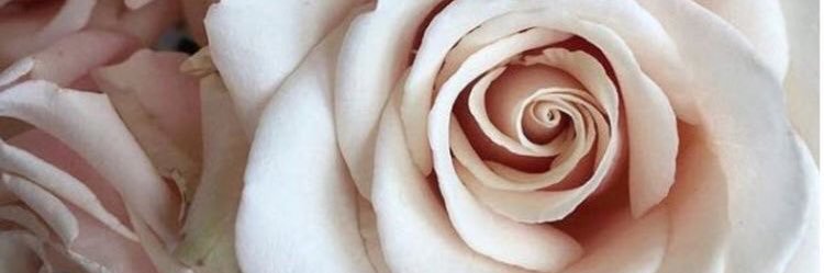 TaliaBey's profile banner image