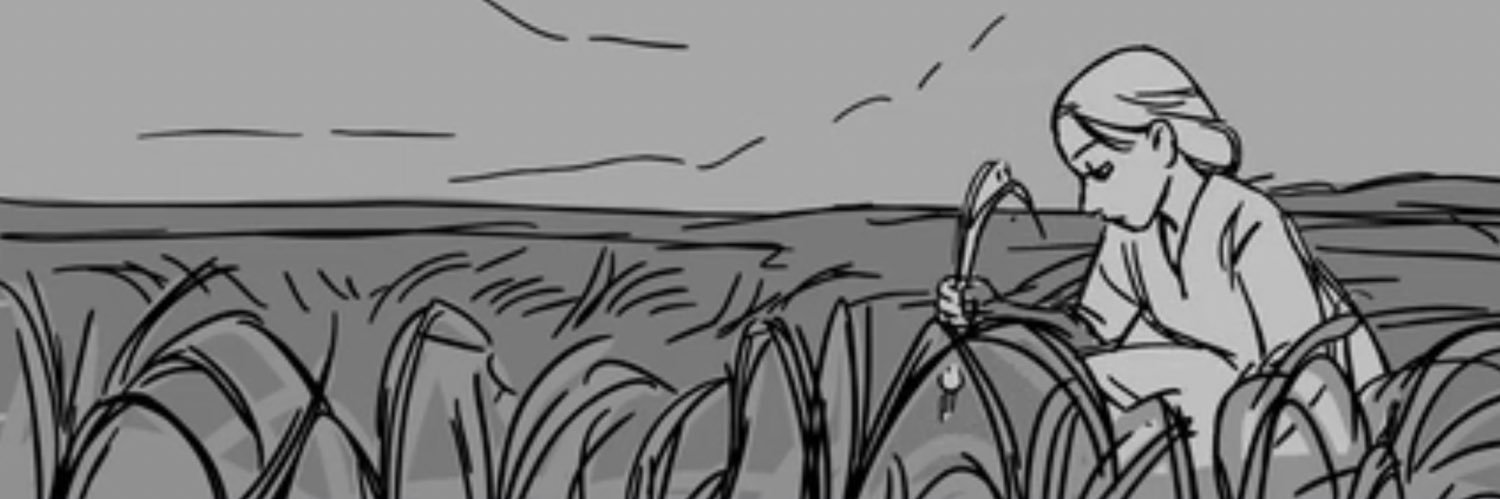 Aimee ✨ Director banner