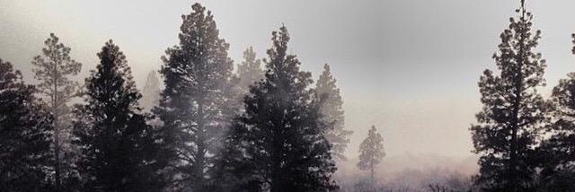 Buckslayer34's profile banner image