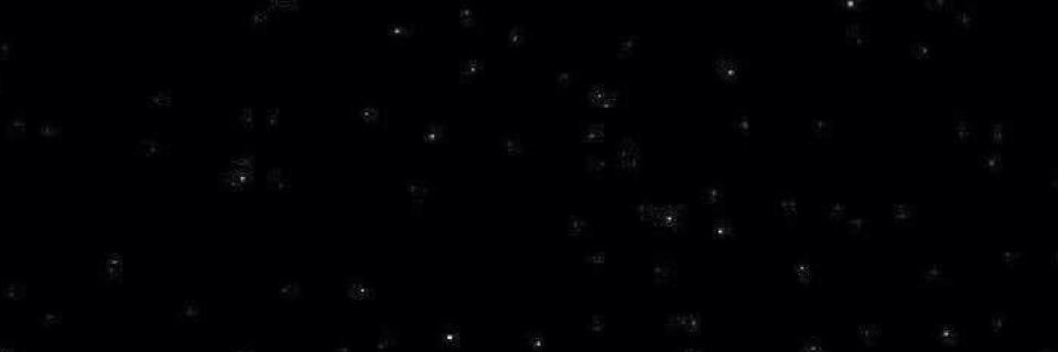 lordjacb's profile banner image