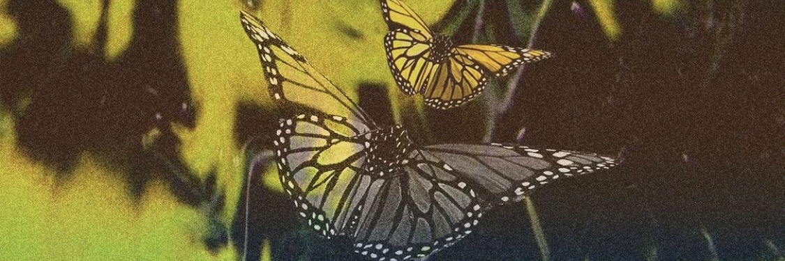 asiatiqueeee's profile banner image