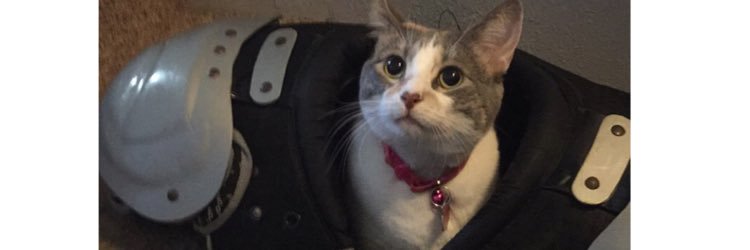 Corbs933's profile banner image
