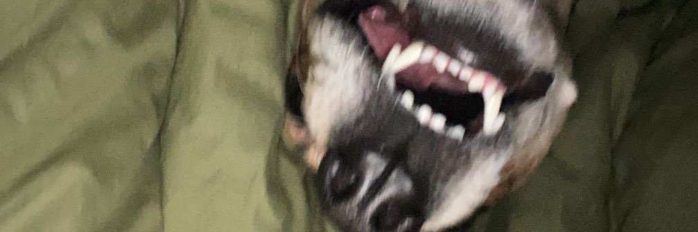 lillflexxx's profile banner image