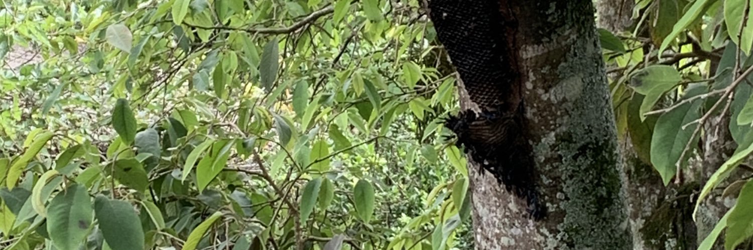Mandimpacker's profile banner image