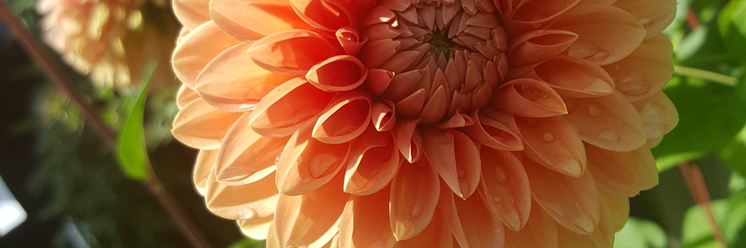 _demlegs's profile banner image