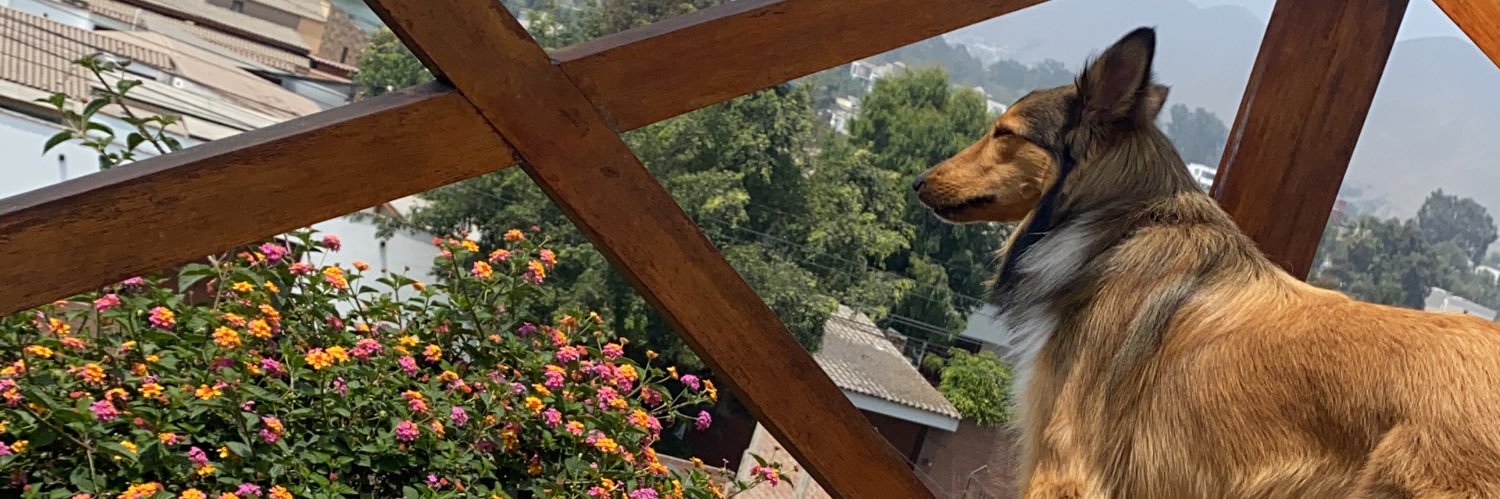 danideizcue's profile banner image
