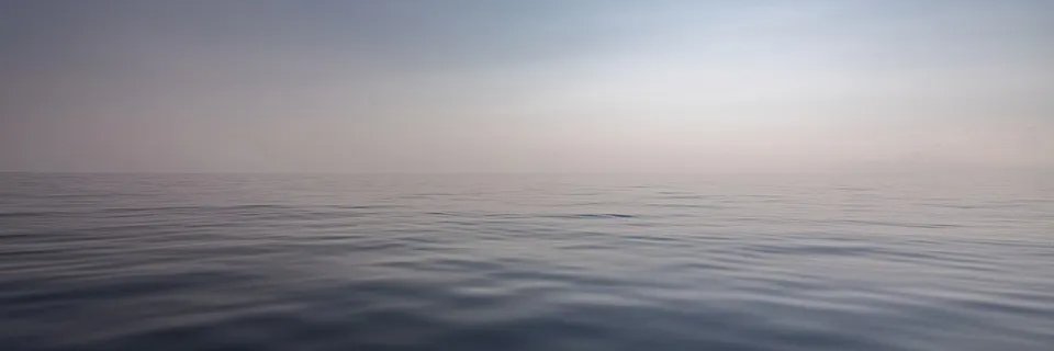 dianagaerste's profile banner image