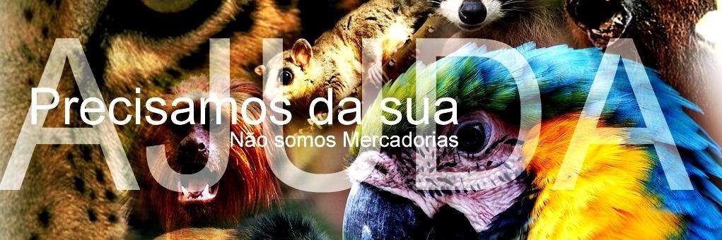 AmbienteSOS's profile banner image