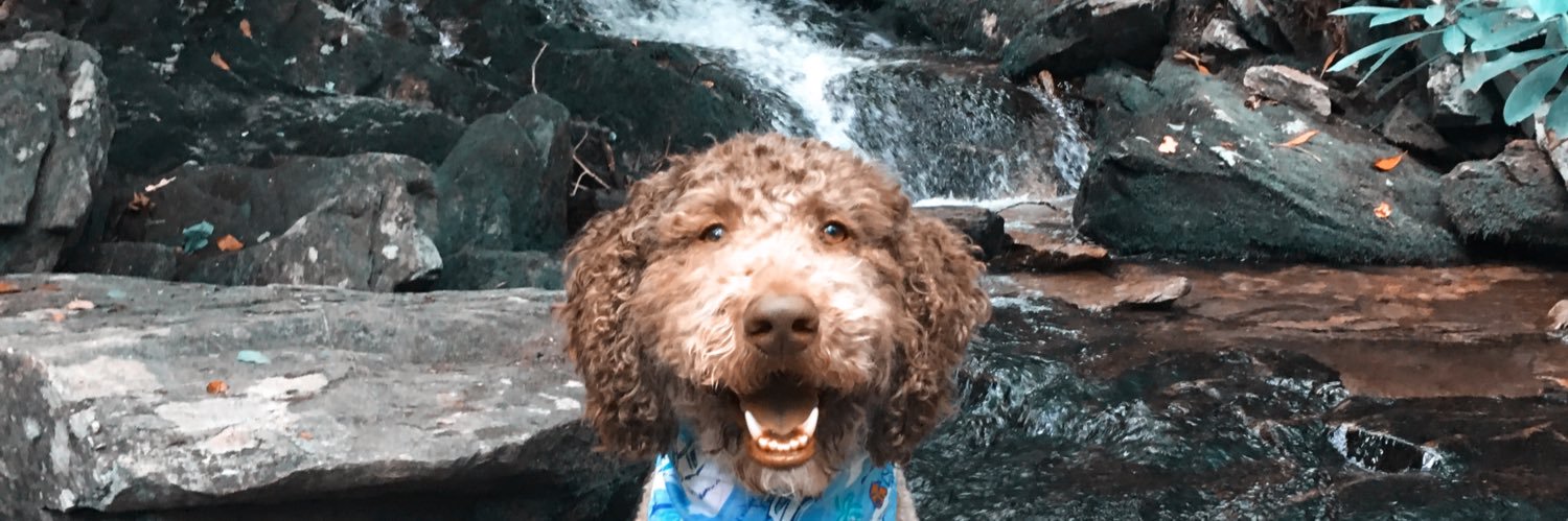 leeeeeanna's profile banner image