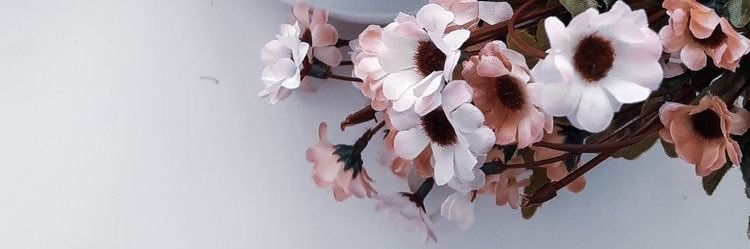 _MelanieAndrade's profile banner image