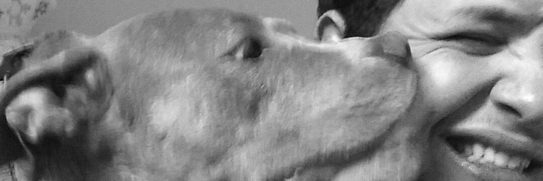 Noah_StPierre's profile banner image