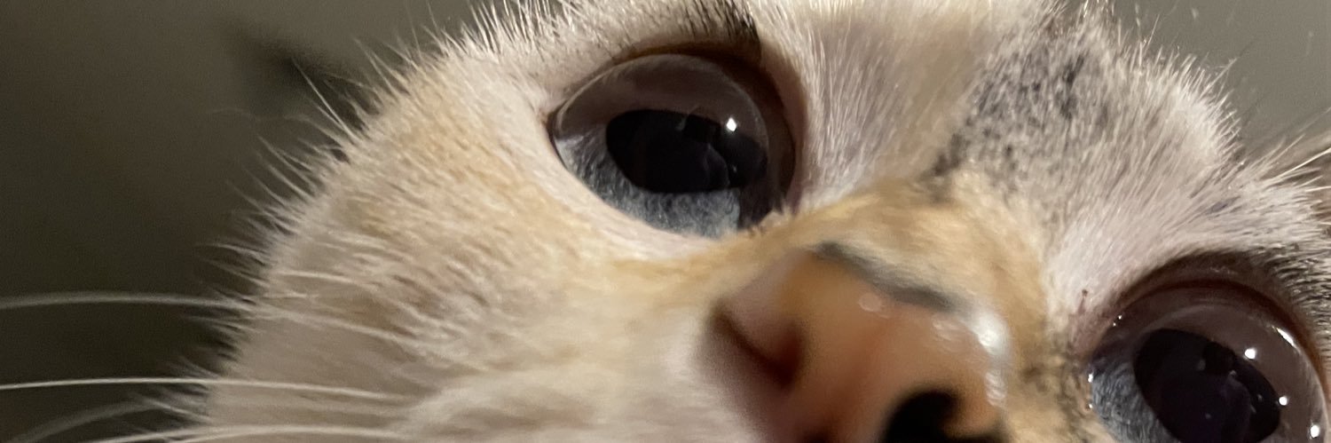 amanderss_'s profile banner image