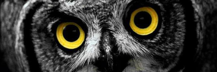 Javiizg's profile banner image