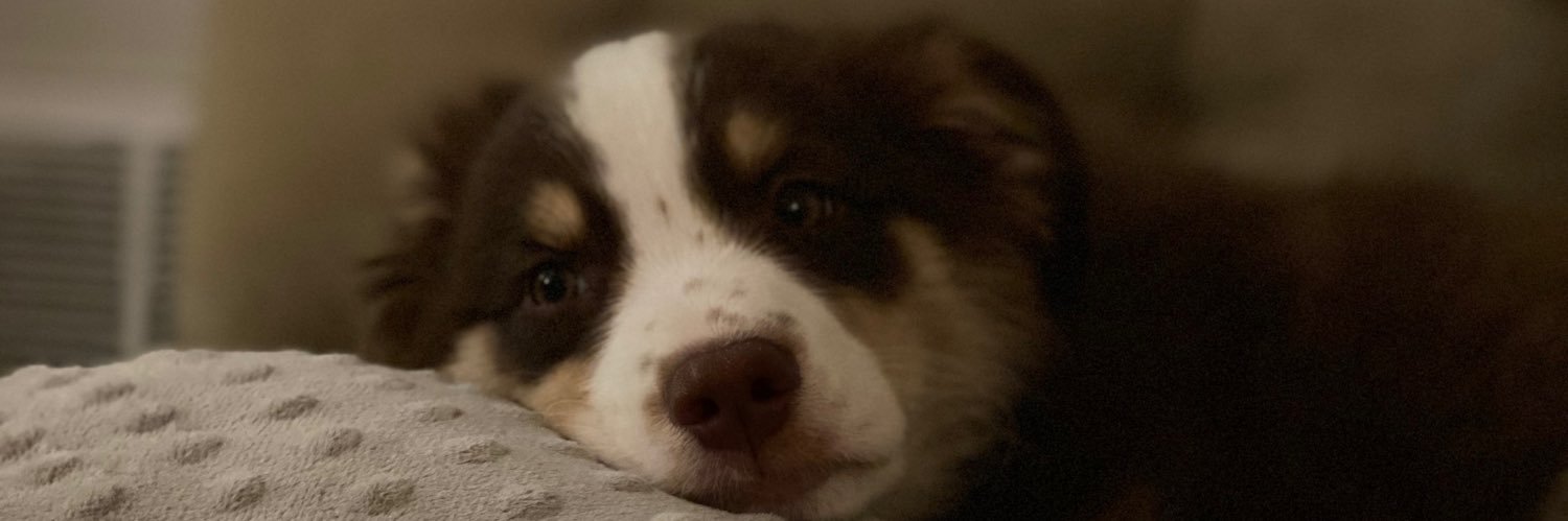 Sir_petes's profile banner image