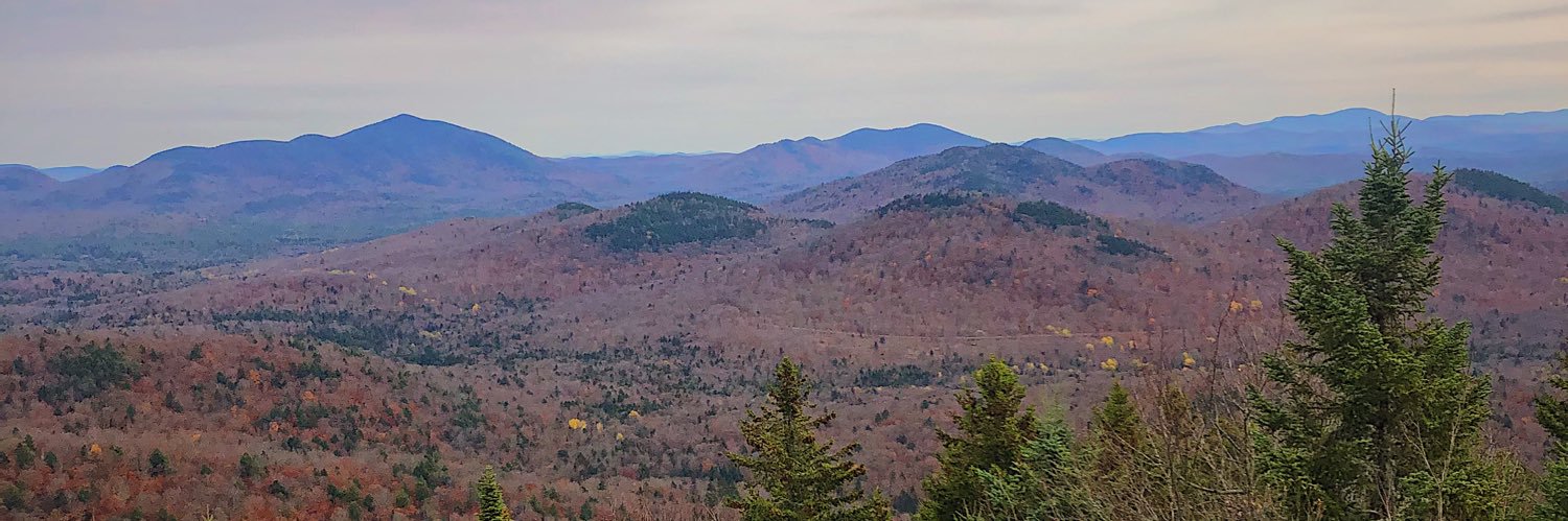 sarontherocks's profile banner image