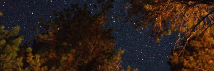 ToxSikh's profile banner image