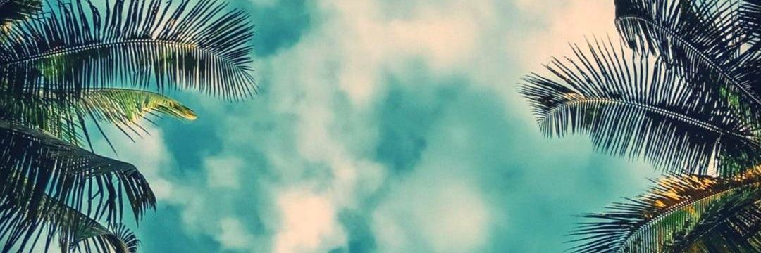DIAntonioAle's profile banner image