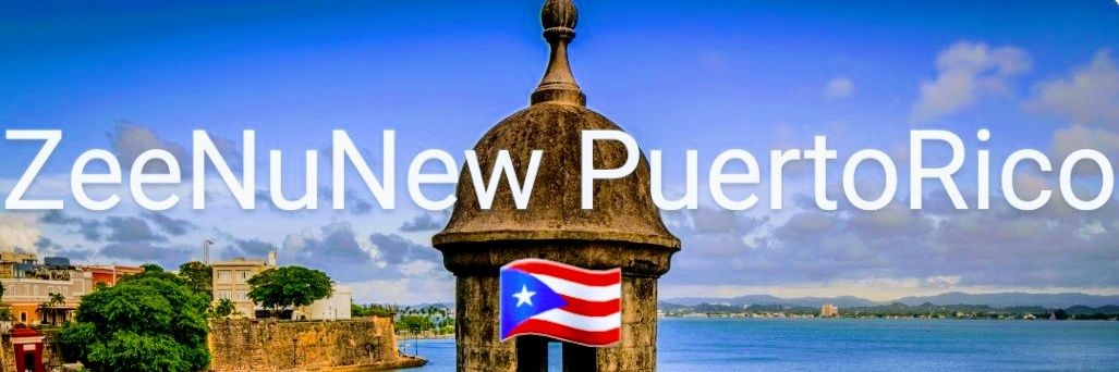 ZNNPUERTORICO's profile banner image