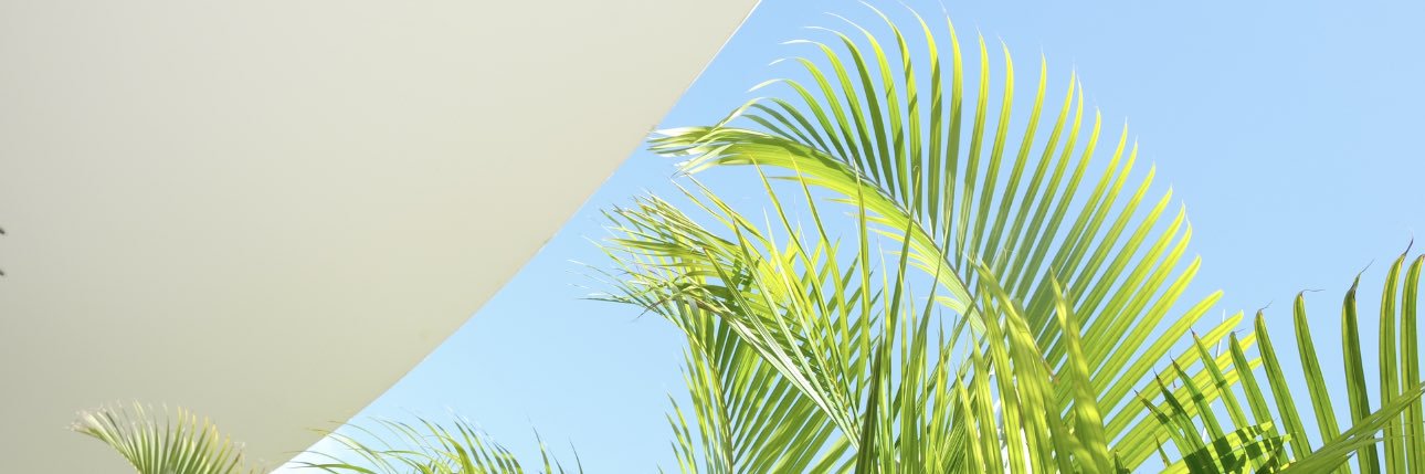 julien4real's profile banner image
