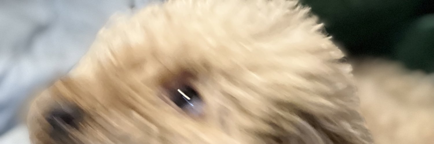 3434ubw's profile banner image