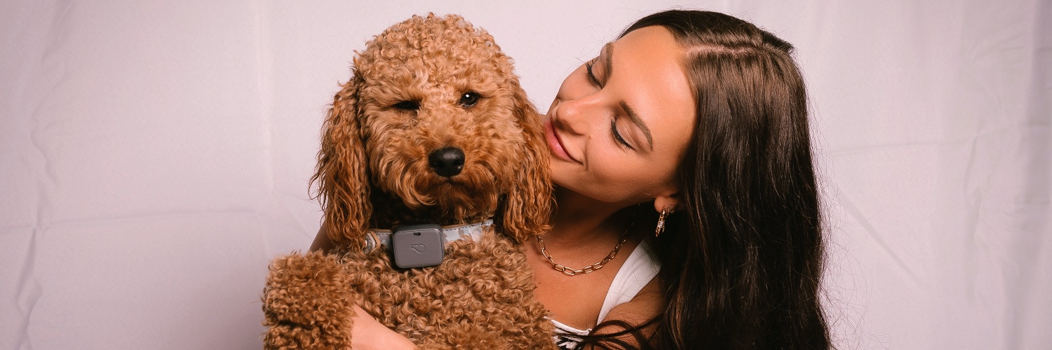 AddiePeterson's profile banner image