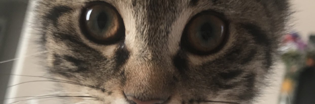 EliseBulmer's profile banner image