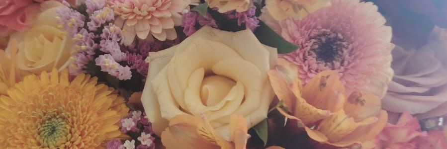 chabesaravia's profile banner image