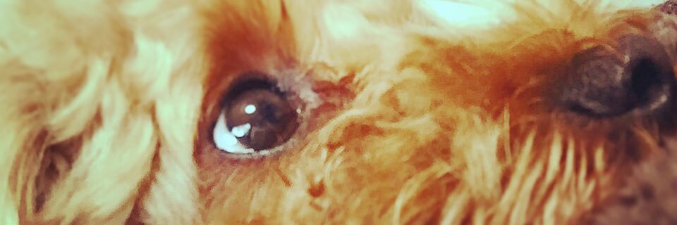 u_ron_cho's profile banner image