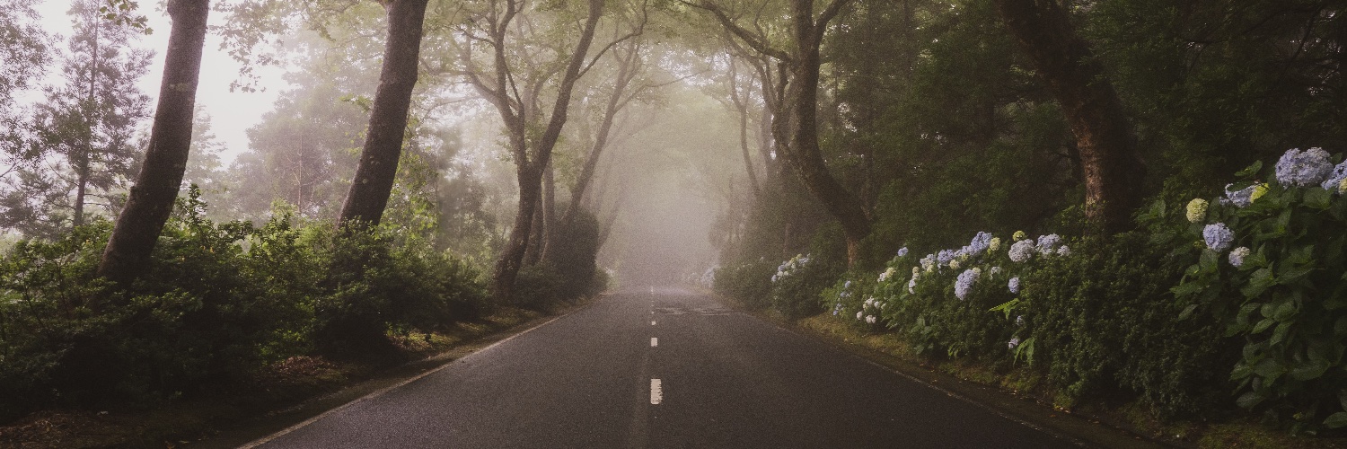 downs_bobb's profile banner image